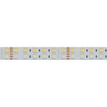 Светодиодная лента RT-B144-19mm 24V RGBW-Day (32 W/m, IP20, 5060, 5m) (Arlight, -)