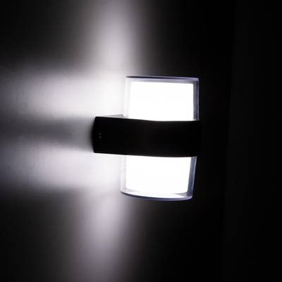 Citilux CLU0009R LED Уличный настенный светильник