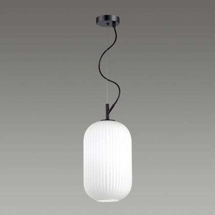 4751/1 PENDANT ODL21 489 белый/черный Подвес E27 60W ROOFI
