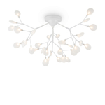 Потолочный светильник Florencia FR5049CL-36W1, G4х36. TM Maytoni