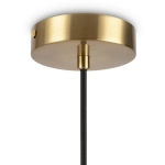 Подвесной светильник Zelda FR5124PL-01BS, E14х1. TM Maytoni