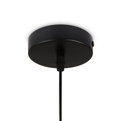 Подвесной светильник Jiffy FR5188PL-01G, E27х1. TM Maytoni