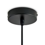 Подвесной светильник Alzare FR5595PL-01B, E27х1. TM Maytoni