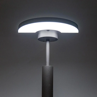 Citilux CLU03B1 LED Уличный парковый светильник поворотный Графит