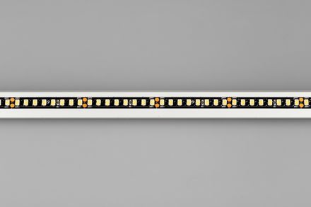 Лента RT-A160-BLACK-8mm 24V Day4000 (12 W/m, IP20, 5m) (Arlight, -)