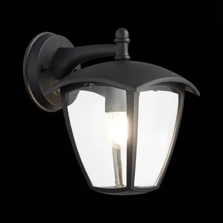 SL081.411.01 Светильник уличный настенный ST-Luce Черный/Черный, Прозрачный E27 1*40W