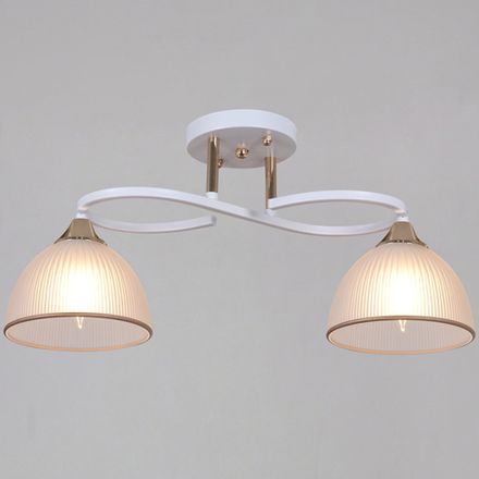 68560-0.3-02 WH+FG светильник потолочный