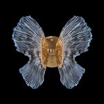 Бра Borboleta Blue FL1103-1W2, LED