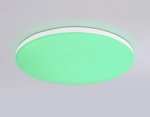 Потолочный светодиодный светильник с Wi-Fi Яндекс Алисой/Tuya/Smart Home/Alexa FZ2001 WH белый IP54 20W 3000K-6500K+RGB D300*55 (ПДУ ИК)