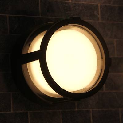 Уличный потолочный светильник Arte Lamp ULYSSES A6206PF-1BK, 1хLED