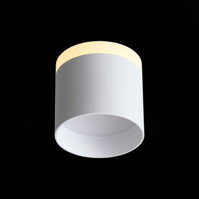 ST102.502.09 Светильник потолочный Белый LED 1*9W 3000K 702Lm Ra&gt;80 120° IP20 D79xH75 170-240V