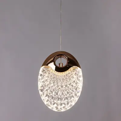 Подвесной светильник Arte Lamp VITORIA A2095SP-1GO, 1хLED