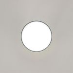 Citilux Борн CL745011N LED Светильник накладной Чёрный