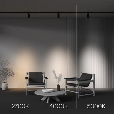 Трековый светильник Фокус / Focus Led Trinity 2700-5000K 20Вт 36°, TR197-3-20WCCT-M-B. TM Maytoni