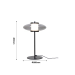 Настольная лампа Rulle 4373-1T. ТМ Favourite