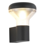 SL9541.701.01 Светильник уличный настенный ST-Luce темно-серый LED 1*6W 3000K
