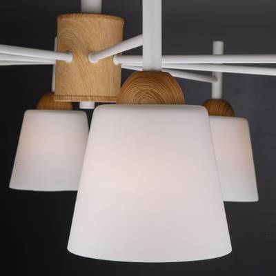 Люстра потолочная с плафонами 70085/8 белый