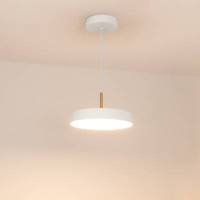 Светильник SP-ELEGANT-R300-17W Warm3000 (WH, 120 deg, 230V) (Arlight, IP20 Металл, 3 года)