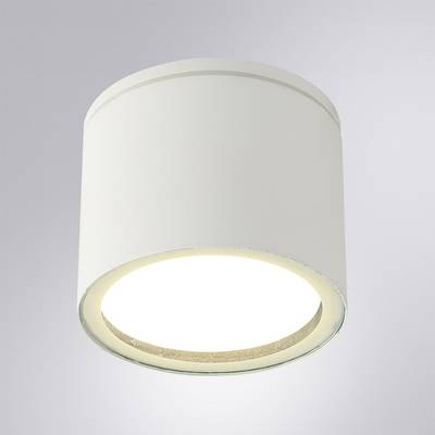 Уличный потолочный светильник Arte Lamp PIAUTOS A1913PF-1WH, 1хGX53