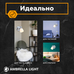 Накладной спот с выключателем TR3961 CH/FR хром/белый матовый E27 max 40W 118*105*200