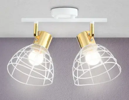Настенно-потолочный спот в стиле лофт TR8601/2 WH/GD белый/золото E27*2 max 40W 260*154*230