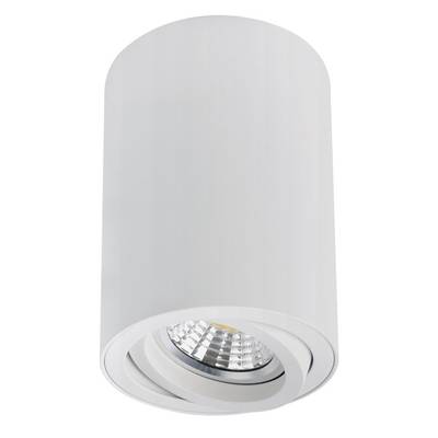 Точечный накладной светильник Arte Lamp SENTRY A1566PL-1WH, 1хGU10