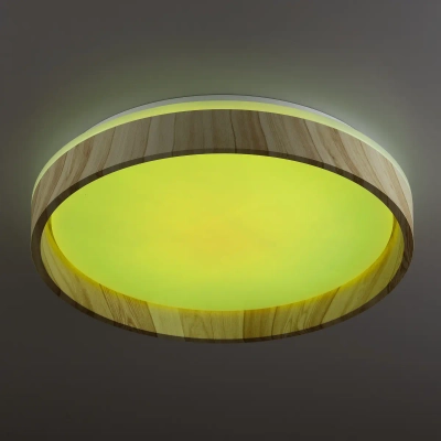 Citilux ENZO CL753352G LED RGB Светильник с пультом Клён