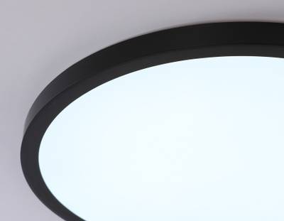 Светильник светодиодный ультратонкий FZ1961 BK черный IP54 40W 5000K D470*15 (Без ПДУ)