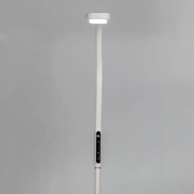 Citilux Марк CL804020 Торшер гибкий светодиодный Белый