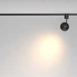Трековый светильник Сфера / Sfera Elasity 3000K 8Вт 36°, TR164-1-8W3K-M-B. TM Maytoni