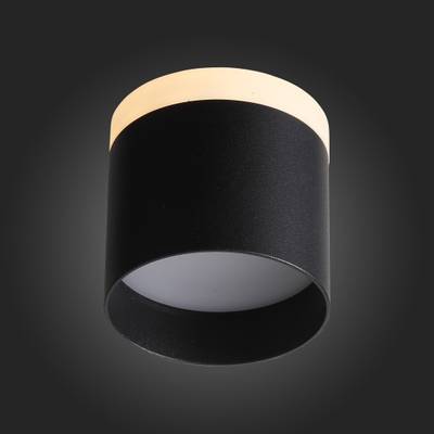 ST102.402.12 Светильник потолочный Черный LED 1*12W 3000K 936Lm Ra&gt;80 120° IP20 D100xH90 170-240V