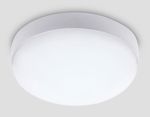 Уличный светодиодный светильник ST8633 WH белый IP65 LED 6500K 20W D170*60