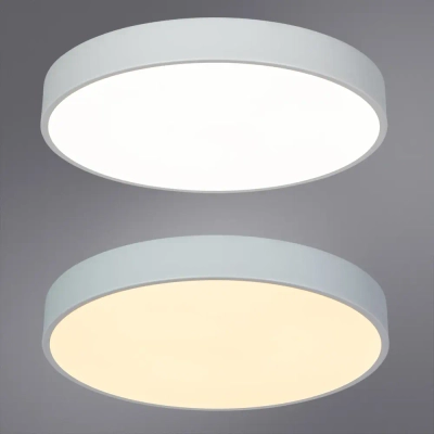 Потолочный светильник Arte Lamp ARENA A2661PL-1WH, 1хLED