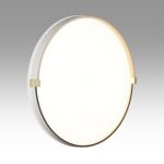 7646/ELN PALE SN 189 Светильник пластик/золотой LED 76Вт 3000/4000/6000К D490 IP43 CCT OLIDI WHITE