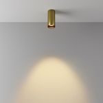 Потолочный светильник FOCUS LED 2700К 12Вт 50°, C056CL-L12W2.7K-W-BS. TM Maytoni