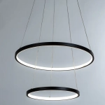 Подвесная люстра Arte Lamp FRODO A2197SP-2BK, 1хLED
