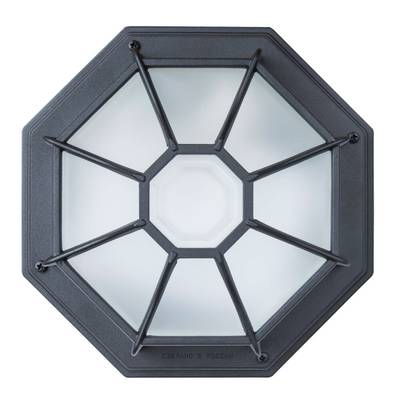 Уличный потолочный светильник Arte Lamp PEGASUS A3100PL-1BK, 1хE27