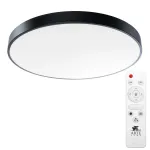 Потолочный светильник Arte Lamp ARENA A2673PL-1BK, 1хLED