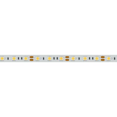 Лента RT 2-5000 12V White6000 2x (5060, 300 LED, LUX) (Arlight, 14.4 Вт/м, IP20)