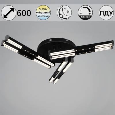 24090-0.3-06 BK светильник потолочный