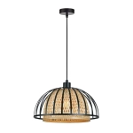 Подвесной светильник Arte Lamp WOODSTOCK A7071SP-1BK, 1хE27
