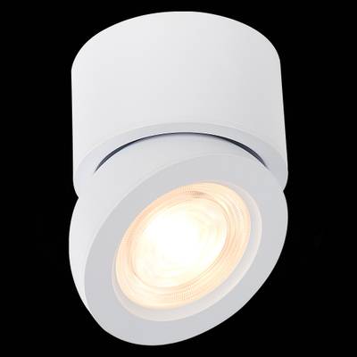 ST654.532.10 Светильник потолочный Белый LED 1*10W 3000K 850Lm Ra&gt;90 38° IP20 D95xH96 180-240V
