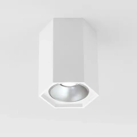 Накладной светодиодный светильник 7W 4200K белый матовый/серебро 25036/LED