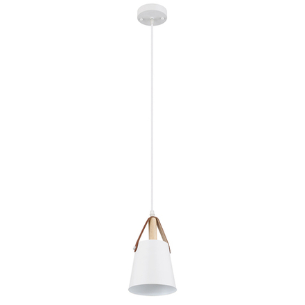Подвесной светильник Arte Lamp THOMAS A7032SP-1WH, 1хE27