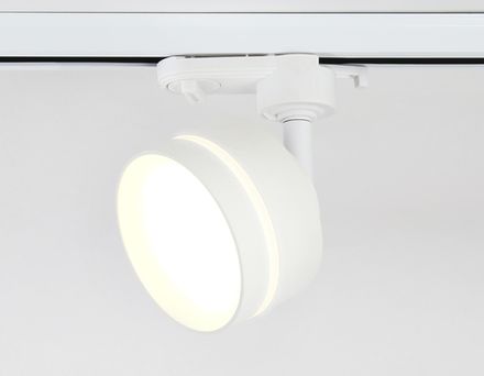 Cветильник трековый GL5384 WH/FR белый/белый матовый GX53 max 12W