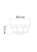 Уличный потолочный светильник Arte Lamp PEGASUS A3100PL-1BK, 1хE27