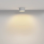 Потолочный светильник Зон / Zon 12 Вт 2700 К 120°, C032CL-12W2.7K-RD-W. TM Maytoni