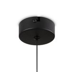 Подвесной светильник Ida FR6133PL-L4SM, LED. TM Maytoni