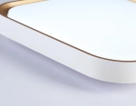 Потолочный светодиодный светильник FZ1253 WH/GD белый/золото 18W 5000K 250*250*60 (Без ПДУ)