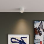 Светильник потолочный светодиодный Banti 13W 4200K белый 25123/LED